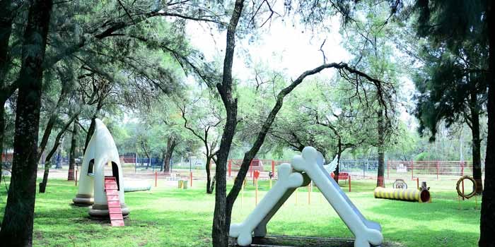 Inauguran el Perro Parque Zooleón
