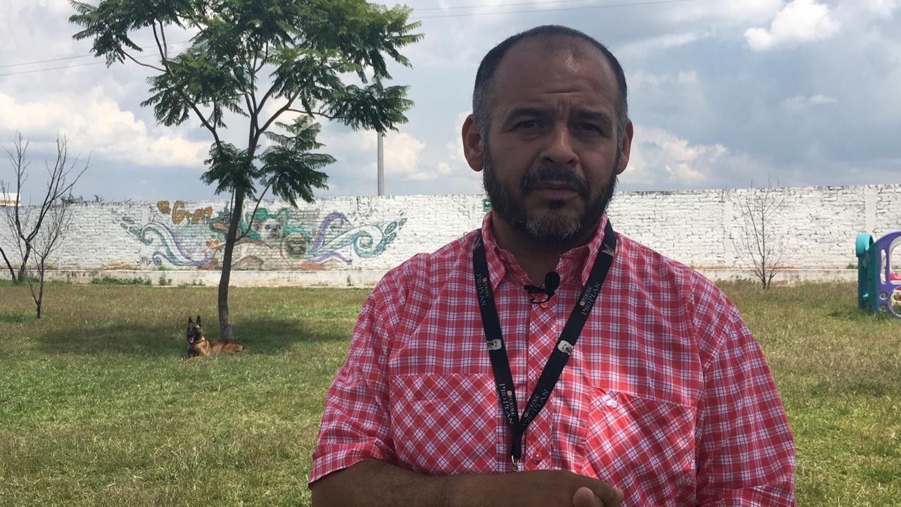 Septiembre, mes crítico para los perros