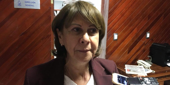 Colector pluvial para evitar inundaciones aún es un anteproyecto