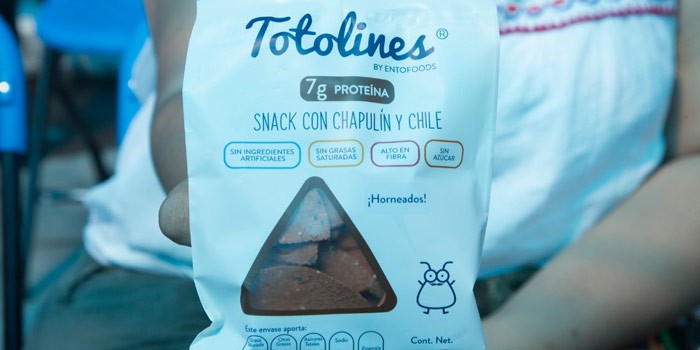 Tarimoro producirá grillo comestible