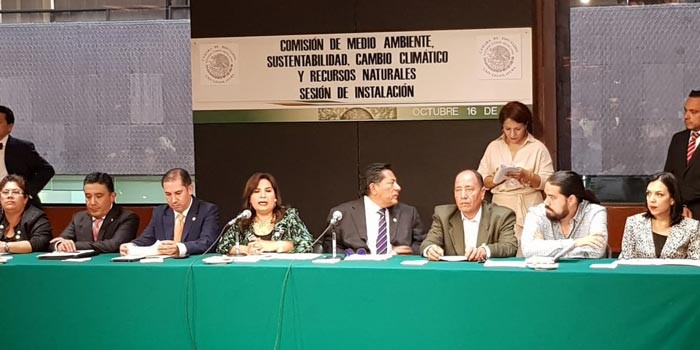 Urgen compromisos para garantizar el futuro ambiental: Bety Manrique