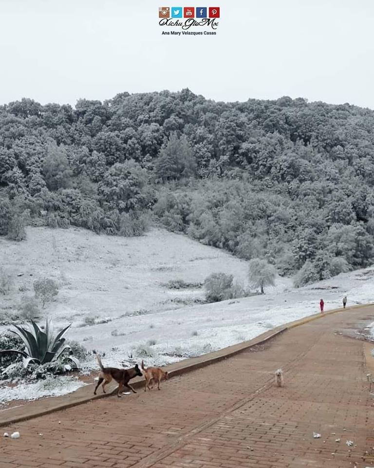 Cae aguanieve en Xichú