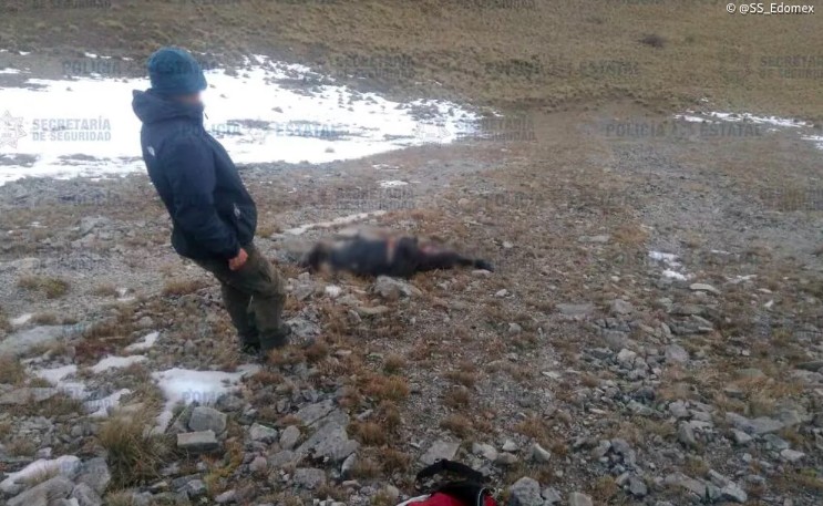 Hallan muerto a joven extraviado en el Nevado de Toluca