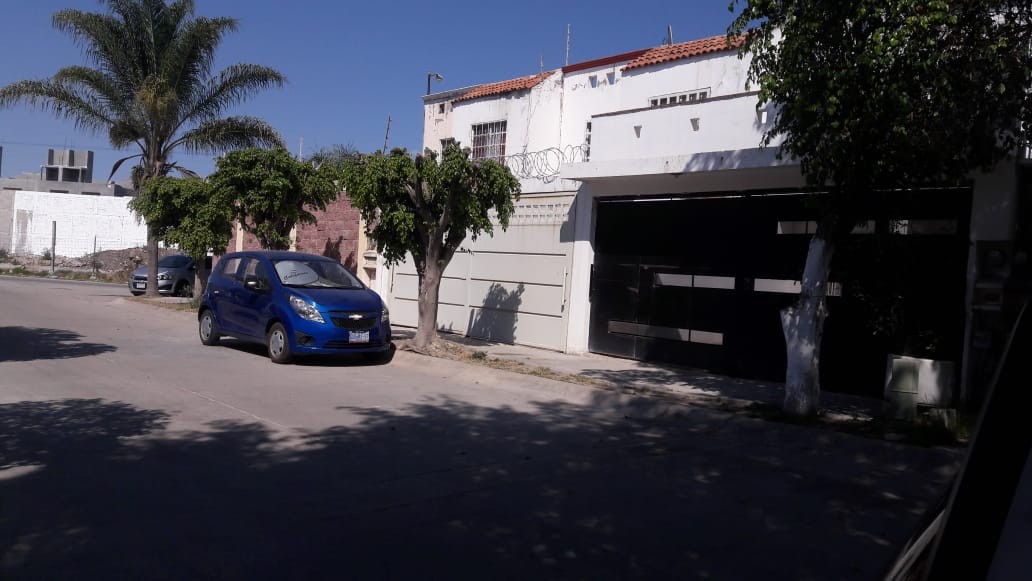 Dejan en la banqueta cabeza de puerco con mensaje en Paseos de la Pradera
