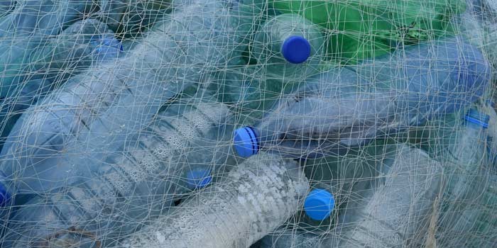 2025: tres toneladas de peces por una de plásticos en el océano