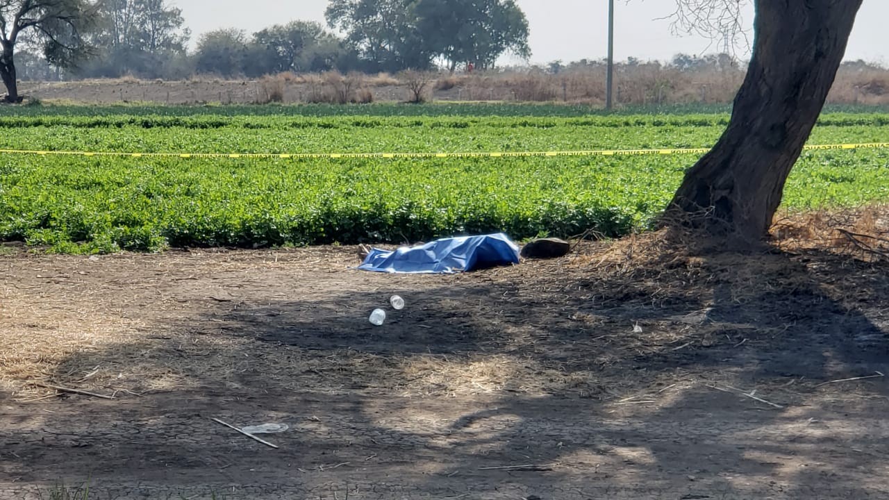 Hallan cuerpo maniatado en Romita