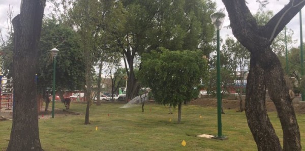 León tienen 4.4 metros cuadrados de área verde por habitante