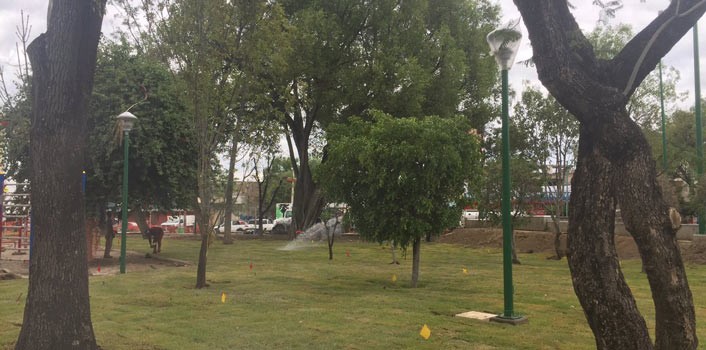 León tienen 4.4 metros cuadrados de área verde por habitante