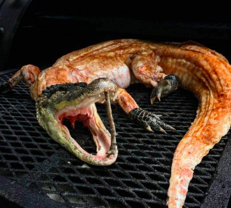 Exhiben a militante de Morena asando un cocodrilo