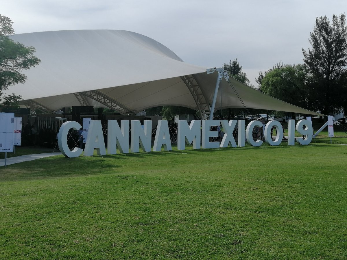 Instalarán en Centro Fox súper invernadero de marihuana