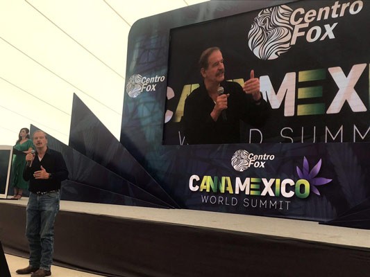 Violencia se contendrá al legalizar la marihuana: Fox