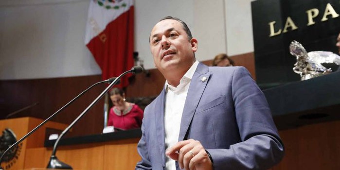 Urgente, designar titular de la Conadis: senador Erandi Bermúdez