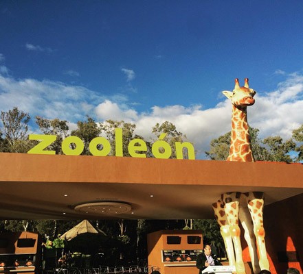 Someten a vigilantes para robarse cajero automático del Zoológico