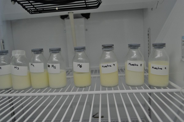 Banco de Leche Humana en Irapuato recolectará 100 litros mensuales