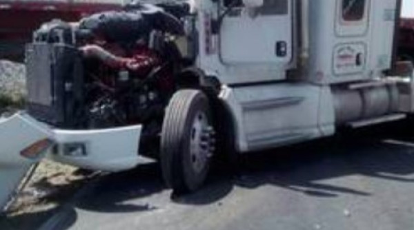 Choca tráiler contra árbol