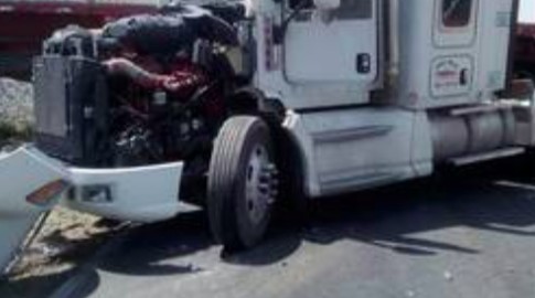 Choca tráiler contra árbol