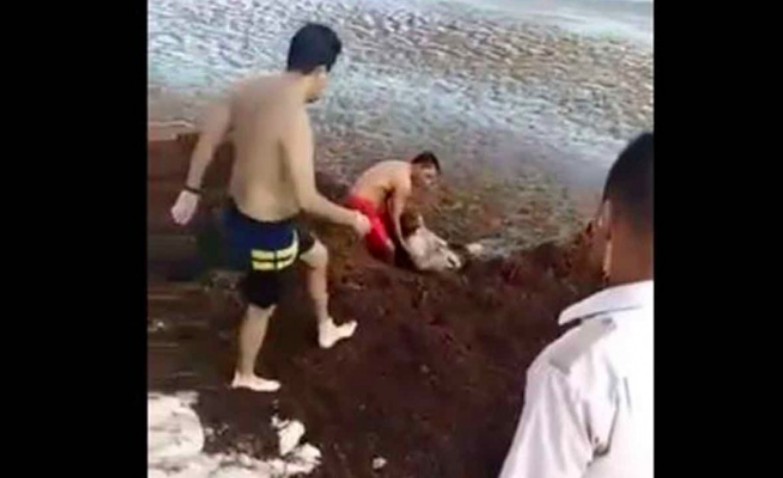 Rescatan a mujer que casi muere entre el sargazo