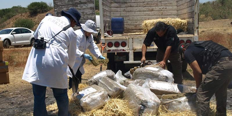 Incinera Fiscalía General de la República 177 kilogramos de drogas en Guanajuato