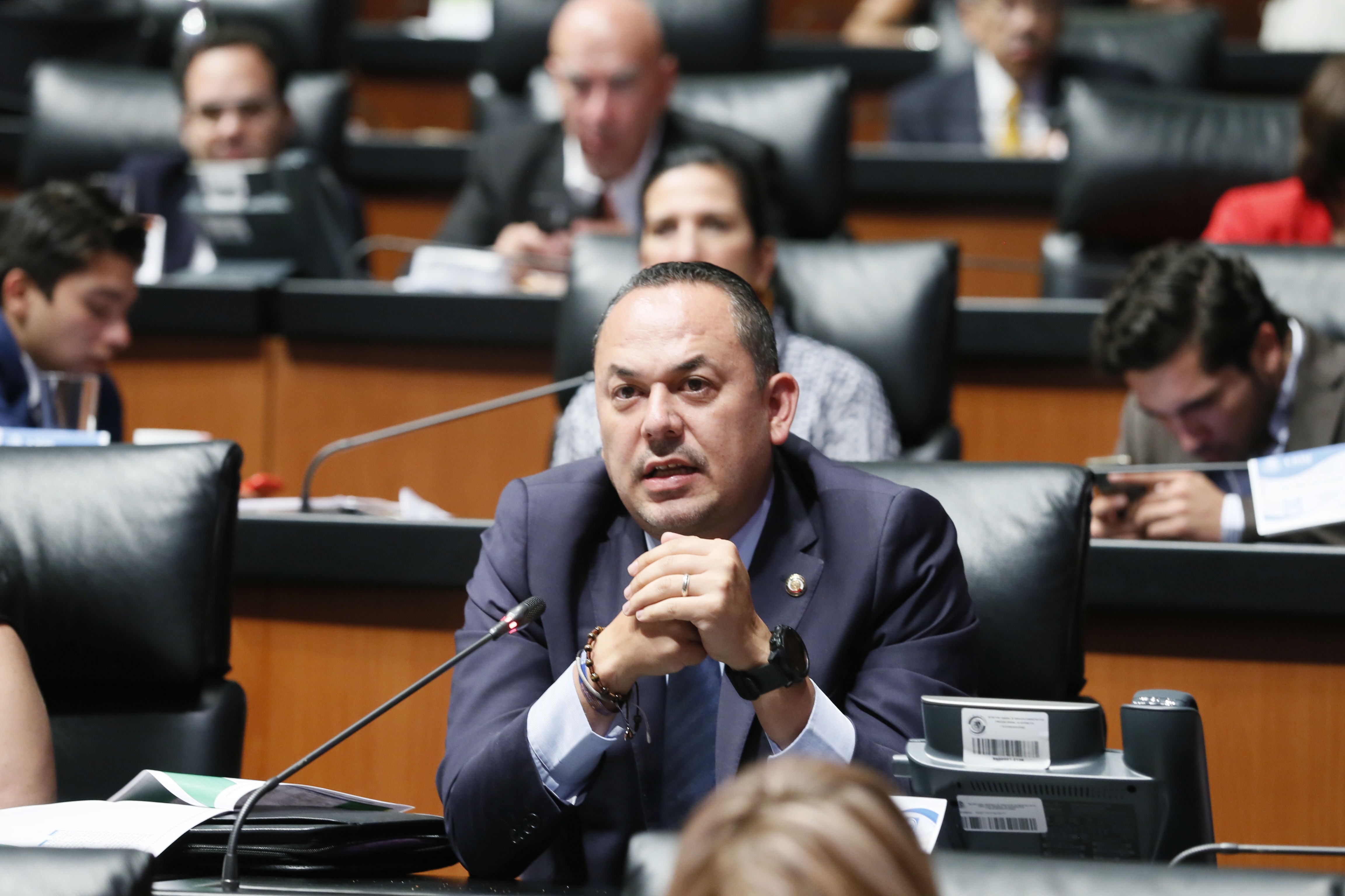 Recortes al presupuesto de Conafor impiden sofocar incendios en el país: Erandi Bermúdez