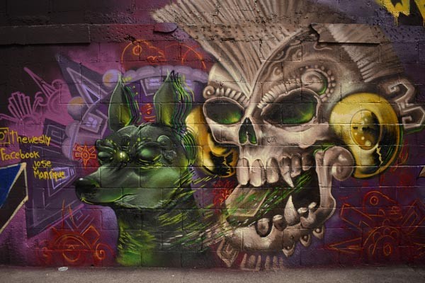 Murales artísticos urbanos de León interesan a investigadores de EU