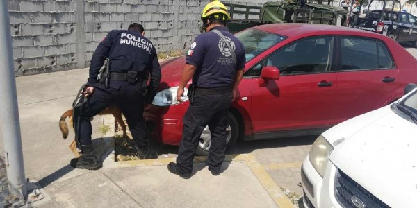 Desalojan Poder Judicial en León por falsa amenaza de bomba