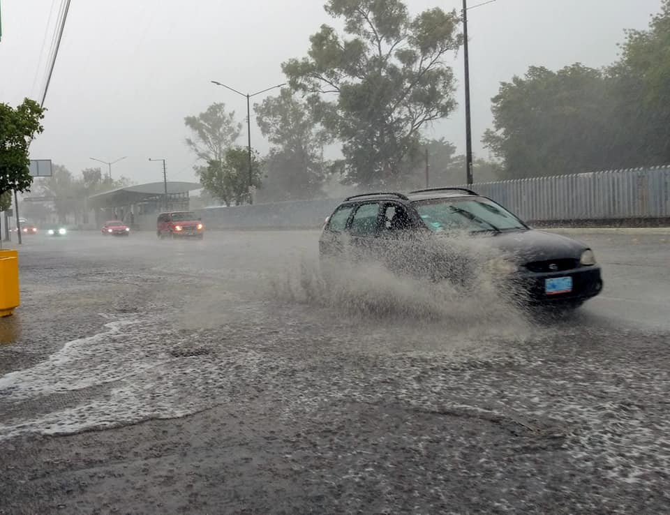 Deja primera lluvia de la temporada encharcamientos y árboles caídos