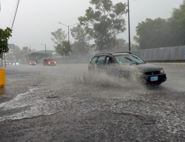 Deja primera lluvia de la temporada encharcamientos y árboles caídos