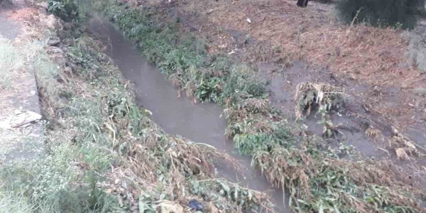 Se desborda el río Turbio, fluye el agua a Puerta de San Germán y El Ramillete