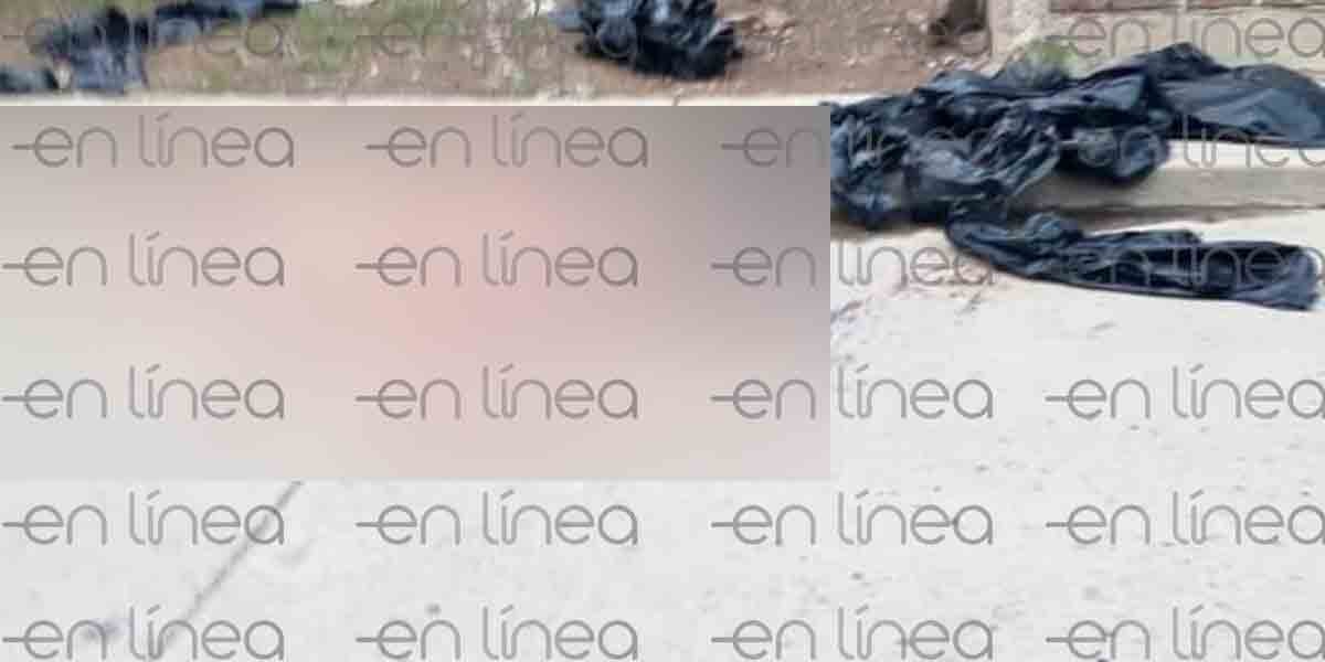 Arrojan restos humanos en Silao