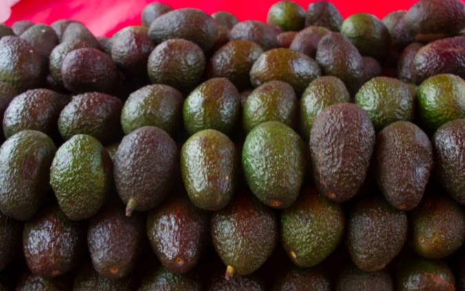 ¡Aguacate hasta en $80 por kilo!