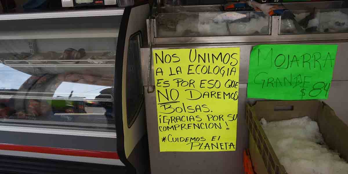 Comerciantes del Mercado Hidalgo en Irapuato dejan las bolsas de plástico