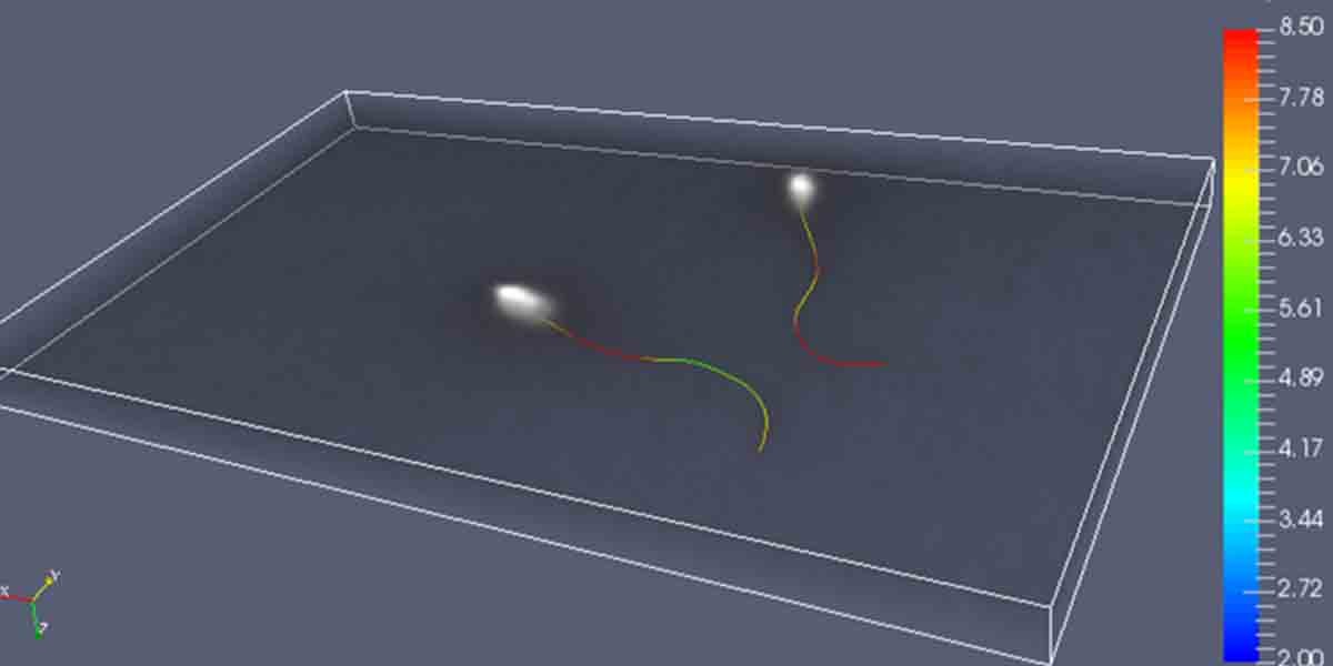 UNAM estudia espermatozoide en 3D para mejorar la fecundación