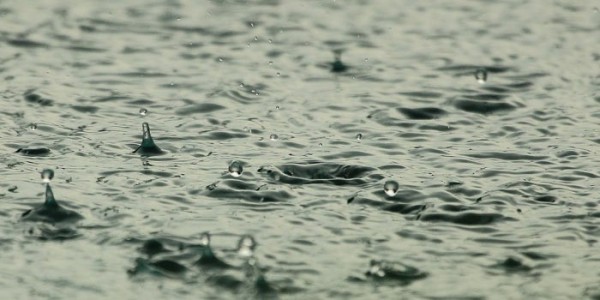 Lluvias de los últimos días no afectaron al campo leonés