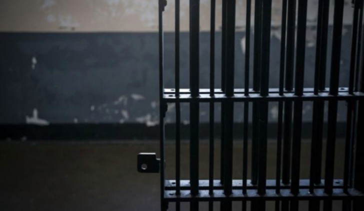 Castigarían con nueve años de prisión el “halconeo“