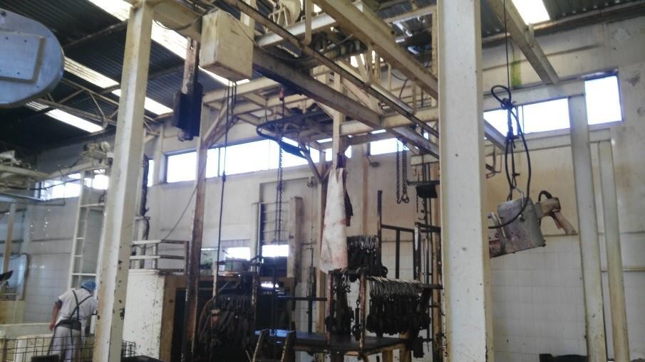 Intensifican revisiones a carne para evitar uso ilegal de clenbuterol