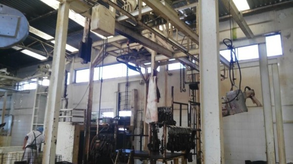 Intensifican revisiones a carne para evitar uso ilegal de clenbuterol