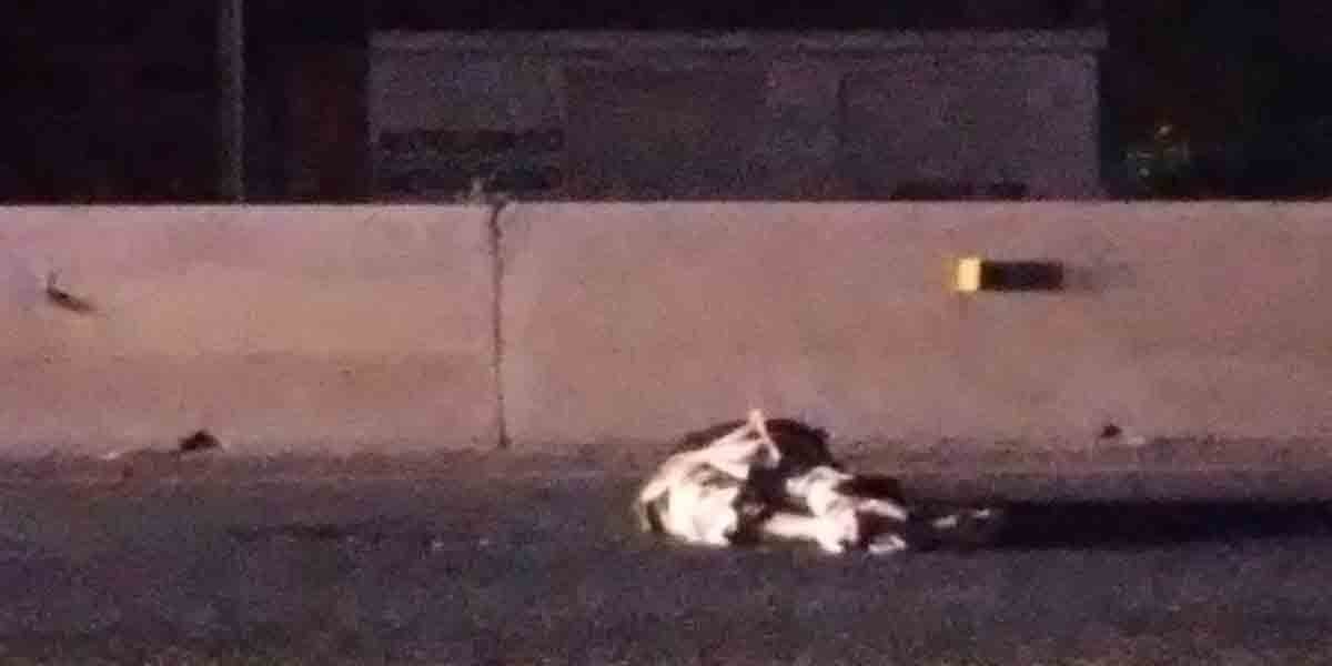 Tráiler atropella a mujer en la León - Lagos