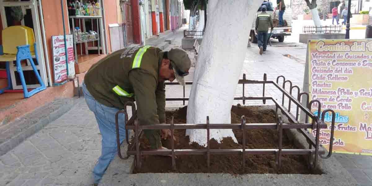 Rehabilitan 32 jardineras de la zona peatonal de Silao