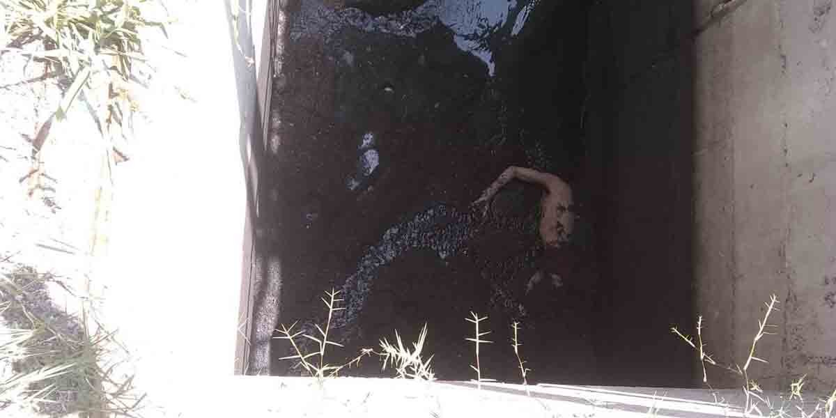 Nuevamente encuentran cuerpo en la planta tratadora del SAPAL