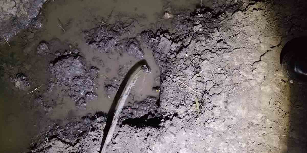 Aseguran toma clandestina en Brisas del Campestre