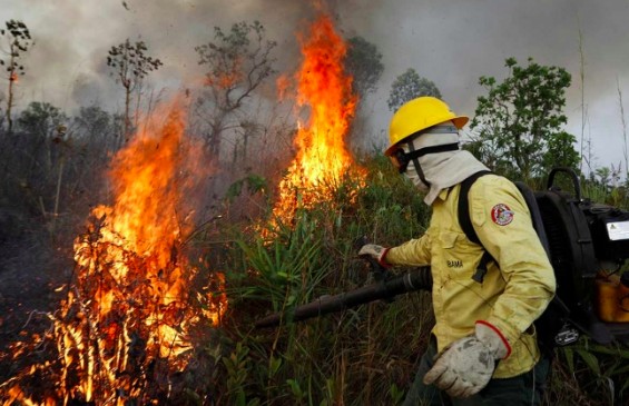 La NASA advierte sequía en la selva amazónica