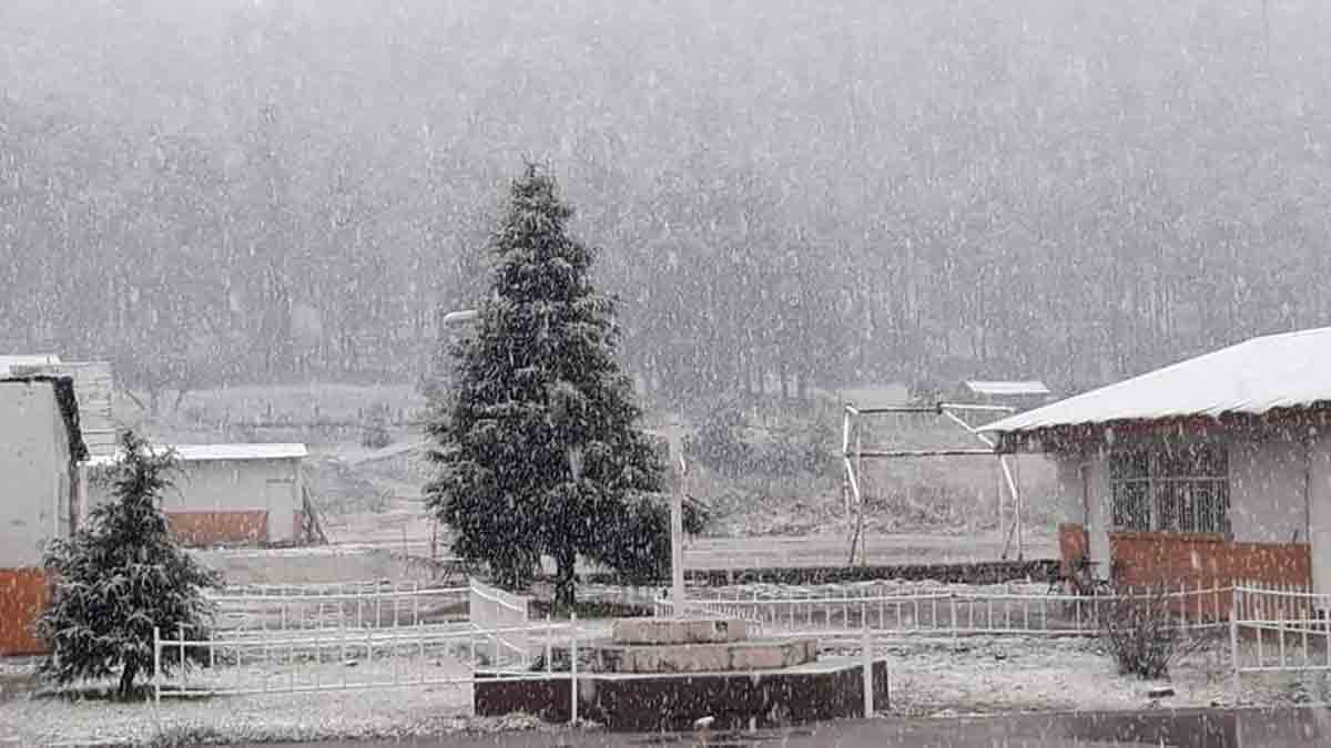 Cae nevada en San Buenaventura, Chihuahua