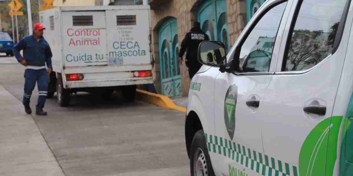 Asegura Policía Ambiental a cinco perros agresivos