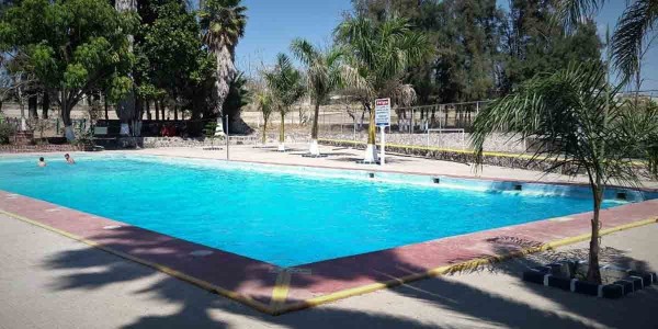 SSG analiza albercas en busca de coliformes fecales