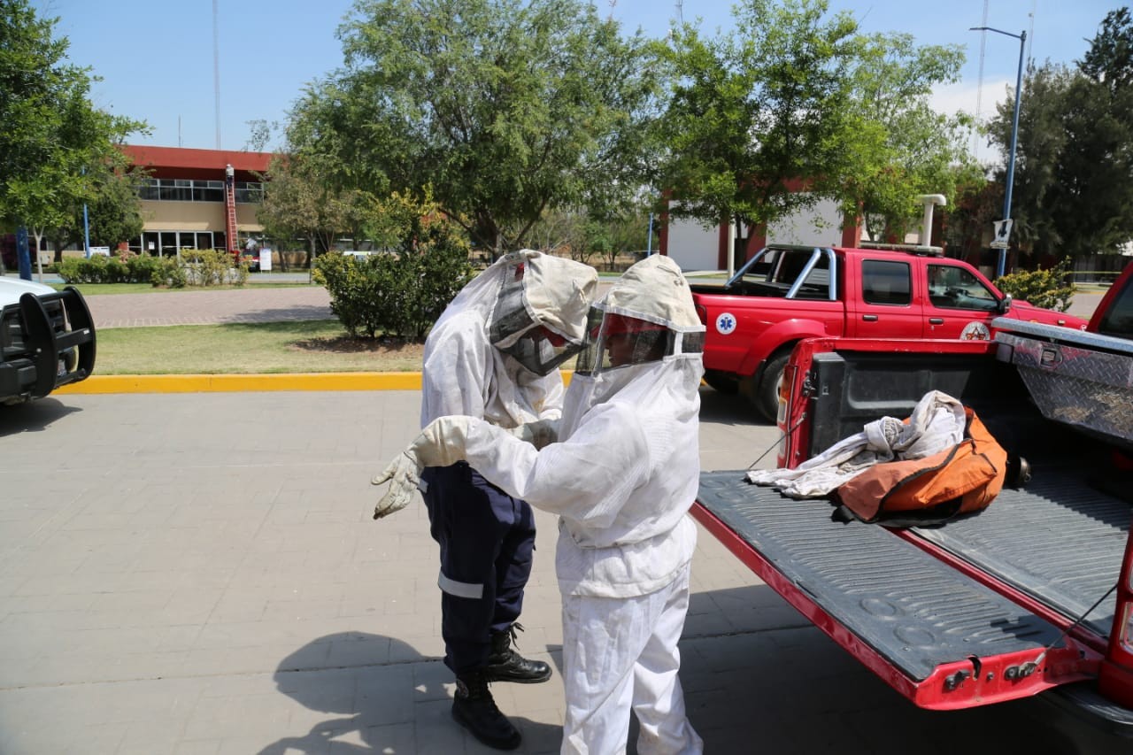 Atienden a lesionados por picadura de abeja en universidad
