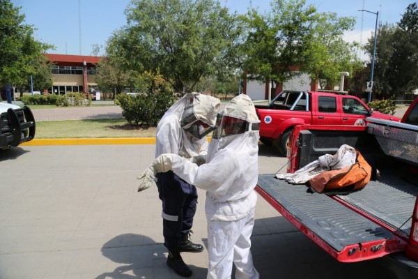 Atienden a lesionados por picadura de abeja en universidad