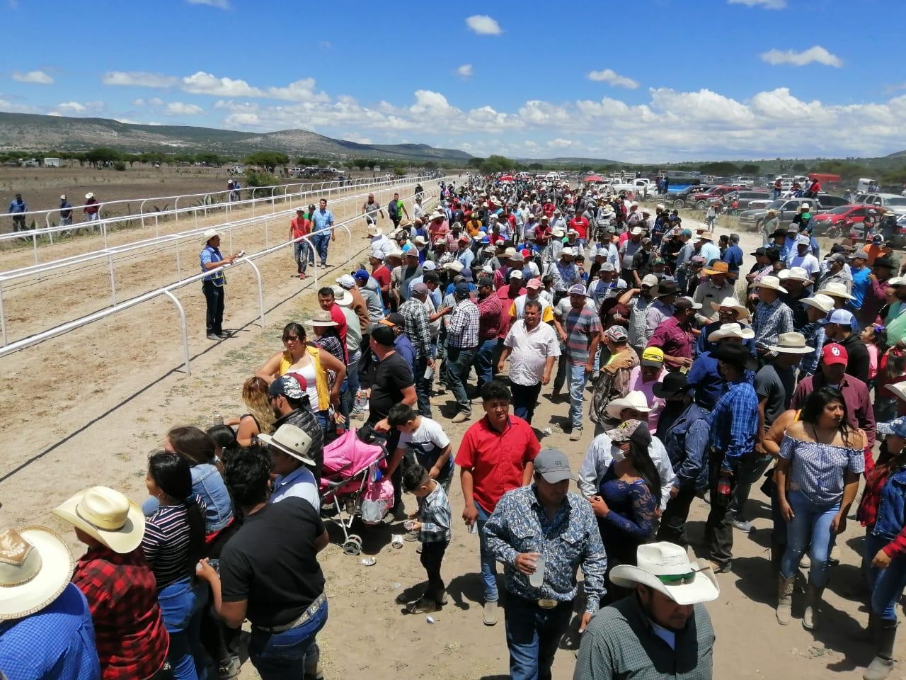 Suspenden carrera de caballos