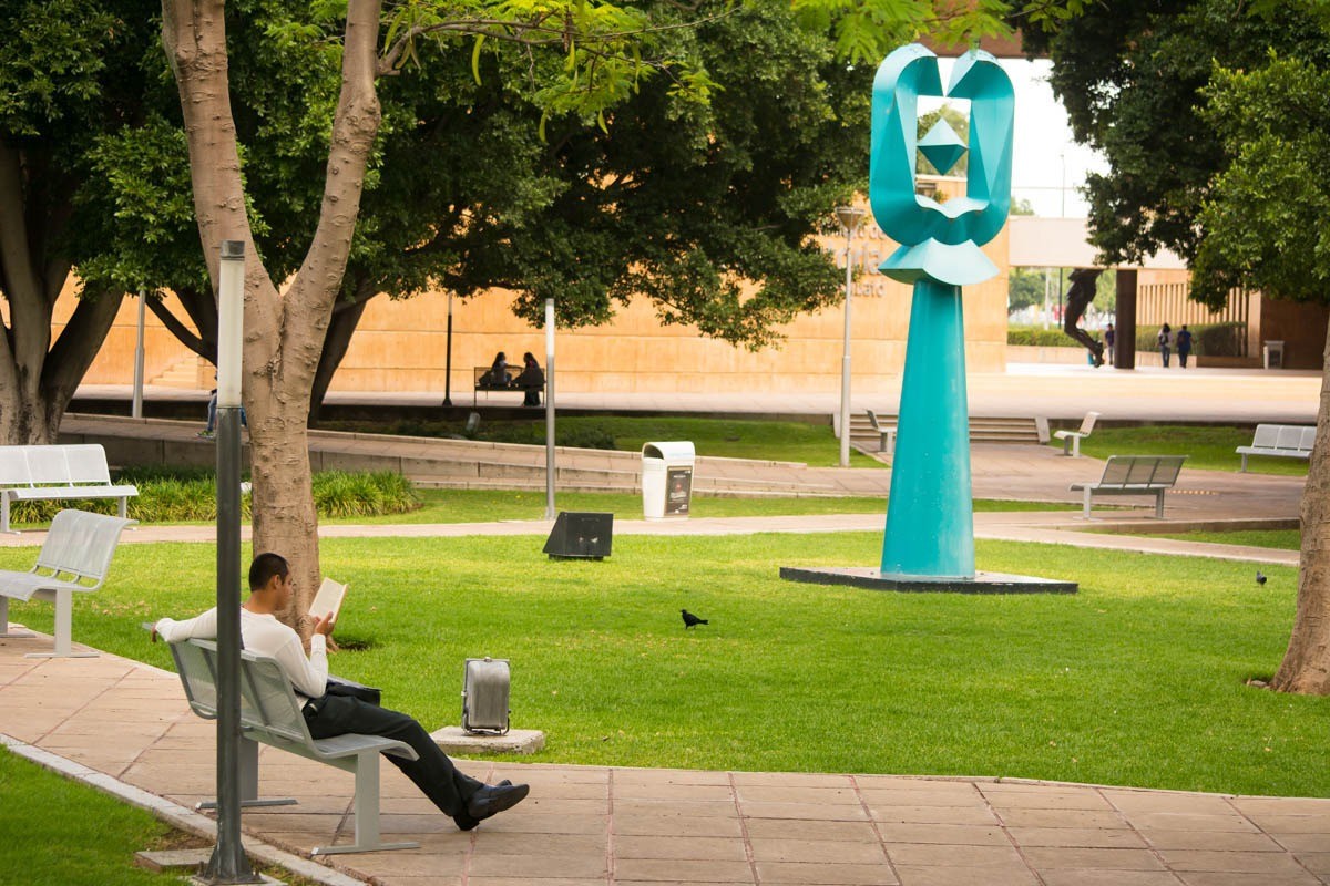Abre Forum sus jardines al público