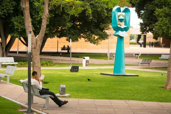 Abre Forum sus jardines al público