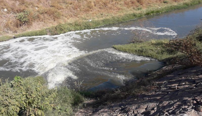 Denuncian a SAPAL por descargas ilegales de curtidoras en Arroyo Las Mulas